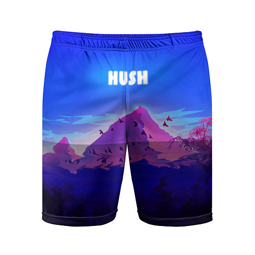 Мужские спортивные шорты HUSH / 3D-принт – фото 1