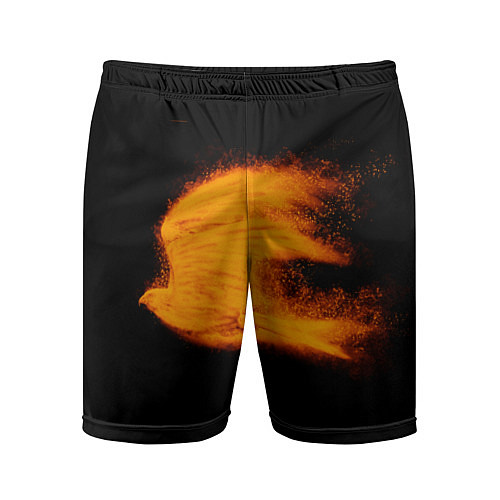 Мужские спортивные шорты Огненная птица / 3D-принт – фото 1