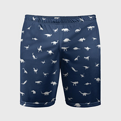 Мужские спортивные шорты Dinoworld 2