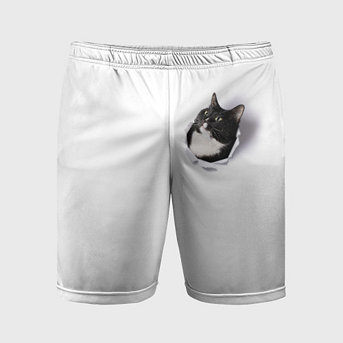 Мужские спортивные шорты КОТ В СЕРДЦЕ / 3D-принт – фото 1
