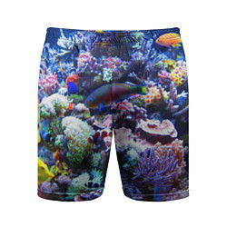 Мужские спортивные шорты Коралловые рыбки