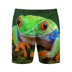 Мужские спортивные шорты Тропическая лягушка
