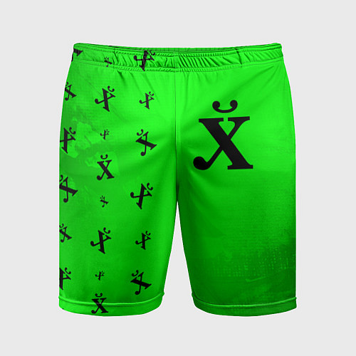 Мужские спортивные шорты Древний Иероглиф - Краска Паттерн / 3D-принт – фото 1