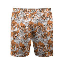 Мужские спортивные шорты Тигры рисованный стиль