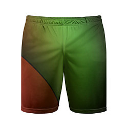 Мужские спортивные шорты 3х-цветная спираль