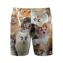 Мужские спортивные шорты Много кошек с большими анимэ глазами
