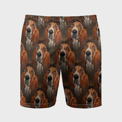 Мужские спортивные шорты Dog patternt / 3D-принт – фото 1