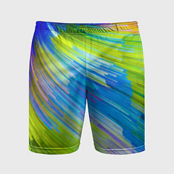 Мужские спортивные шорты Color vanguard pattern Raster