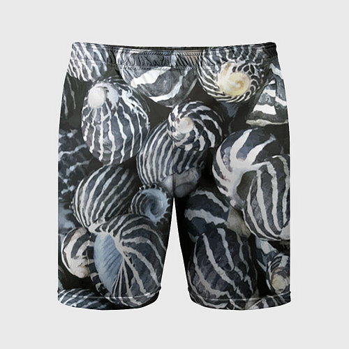 Мужские спортивные шорты Паттерн из океанских ракушек / 3D-принт – фото 1
