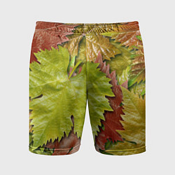 Мужские спортивные шорты Осенние листья клёна - паттерн