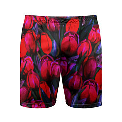 Мужские спортивные шорты Тюльпаны - поле красных цветов