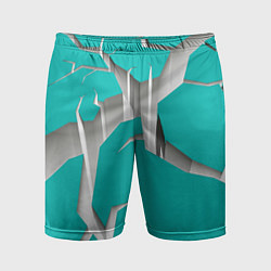 Мужские спортивные шорты Трещина в пропасть