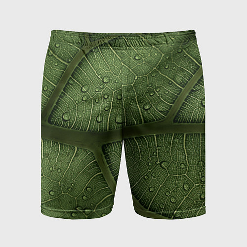 Мужские спортивные шорты Текстура зелёной листы / 3D-принт – фото 1