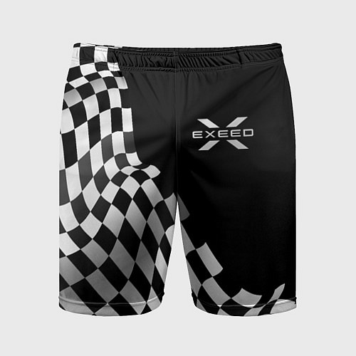 Мужские спортивные шорты Exeed racing flag / 3D-принт – фото 1