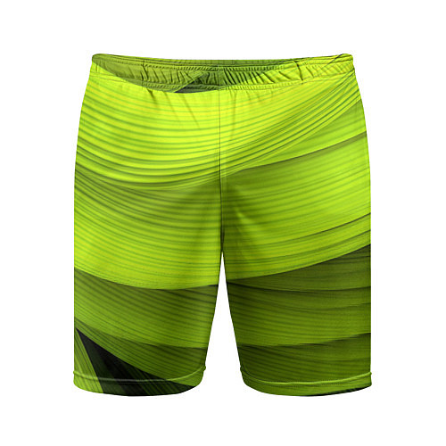 Мужские спортивные шорты Зеленый абстрактный фон / 3D-принт – фото 1
