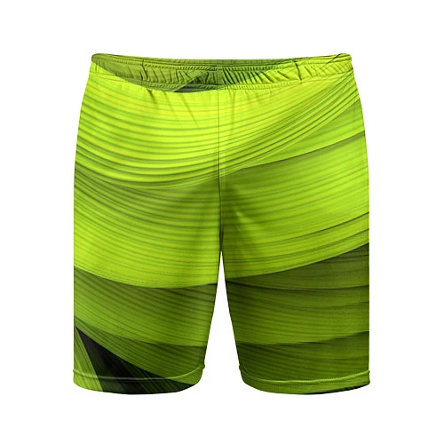 Мужские спортивные шорты Зеленый абстрактный фон за 2090 ₽ купить в  магазине ПлейПринт (10346744905569)