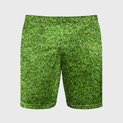 Шорты спортивные мужские Зелёный газон, цвет: 3D-принт