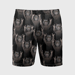Мужские спортивные шорты Коты любят рок-музыку