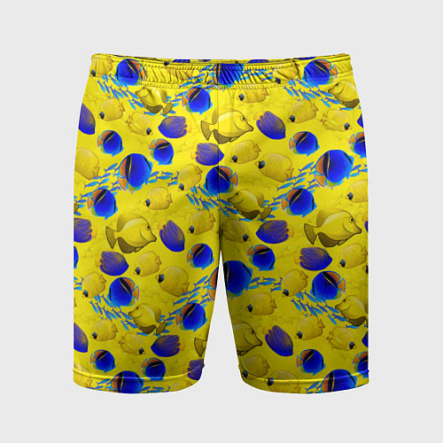 Мужские спортивные шорты Разноцветные тропические рыбы / 3D-принт – фото 1