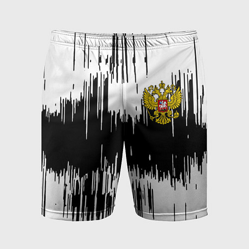 Мужские спортивные шорты Россия герб штриховка / 3D-принт – фото 1