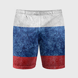 Шорты спортивные мужские Флаг России разноцветный, цвет: 3D-принт