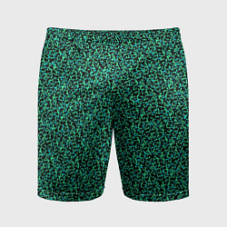 Мужские спортивные шорты Пёстрый чёрно-сине-зелёный