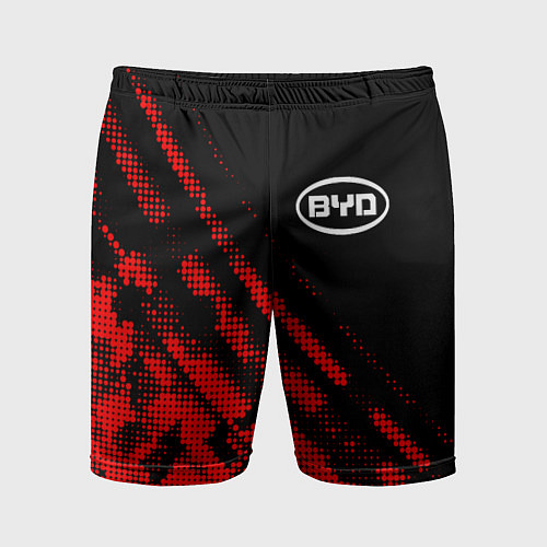 Мужские спортивные шорты BYD sport grunge / 3D-принт – фото 1