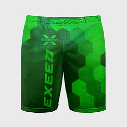 Мужские спортивные шорты Exeed - green gradient по-вертикали