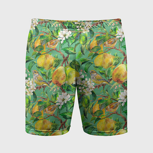 Мужские спортивные шорты Груши и птицы / 3D-принт – фото 1