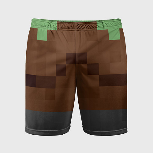 Мужские спортивные шорты Алекса Minecraft низ / 3D-принт – фото 1