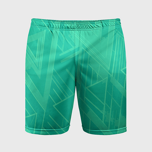 Мужские спортивные шорты Мятный зелёный однотонный геометричный / 3D-принт – фото 1