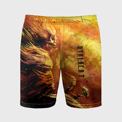 Мужские спортивные шорты Stalker выживший / 3D-принт – фото 1