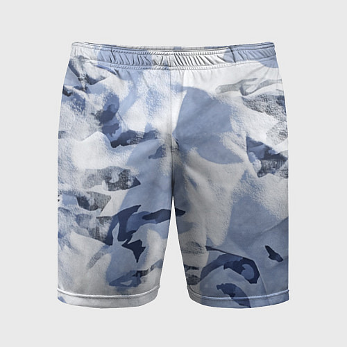 Мужские спортивные шорты Альпийский камуфляж / 3D-принт – фото 1