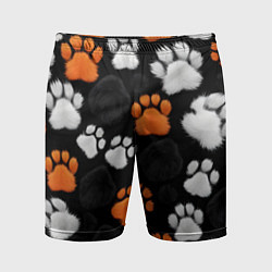 Мужские спортивные шорты Мохнатые лапки