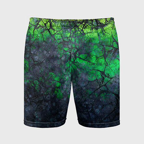 Мужские спортивные шорты Абстракция - acid web / 3D-принт – фото 1