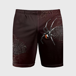 Мужские спортивные шорты Паук тарантул на паутине