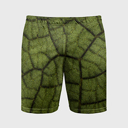 Мужские спортивные шорты Микромир