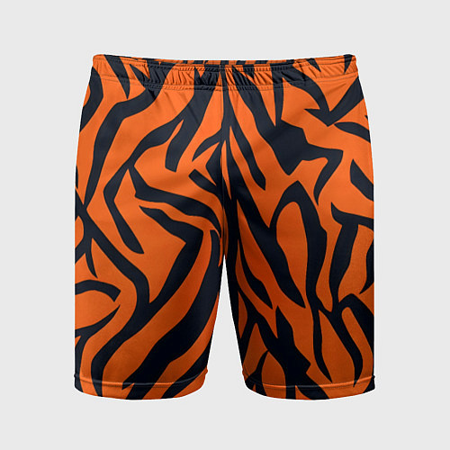 Мужские спортивные шорты Расцветка тигра / 3D-принт – фото 1