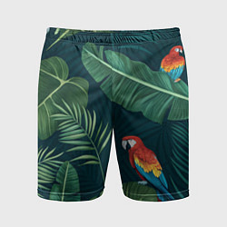 Шорты спортивные мужские Тропики и попугаи, цвет: 3D-принт