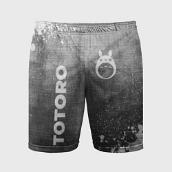 Мужские спортивные шорты Totoro - grey gradient вертикально