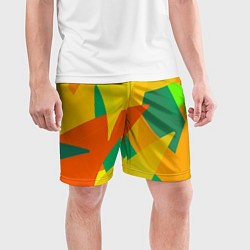 Шорты спортивные мужские Настроение в цветных тонах, цвет: 3D-принт — фото 2