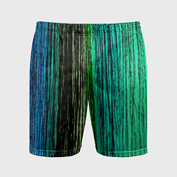 Шорты спортивные мужские Цветовая палитра, цвет: 3D-принт