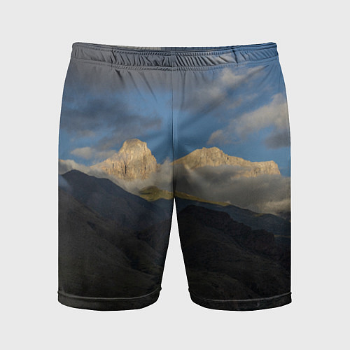 Мужские спортивные шорты Массив Метеген / 3D-принт – фото 1