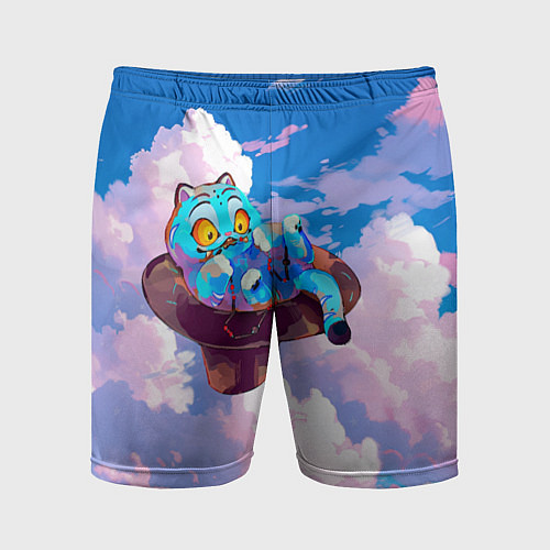 Мужские спортивные шорты Tiger Derpy in the clouds / 3D-принт – фото 1