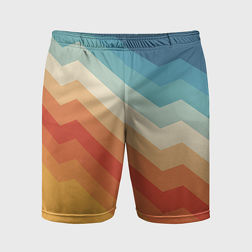 Мужские спортивные шорты Полосы / 3D-принт – фото 1