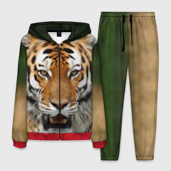Костюм мужской Рык тигра, цвет: 3D-красный