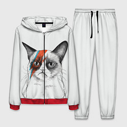 Мужской костюм David Bowie: Grumpy cat