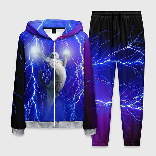Мужской костюм Грозовой кошак / 3D-Меланж – фото 1