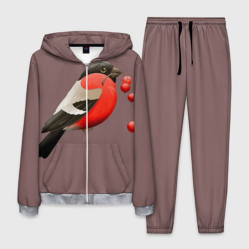 Мужской костюм Снегирь / 3D-Меланж – фото 1