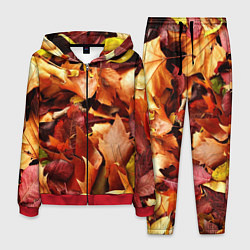 Костюм мужской Куча осенних листьев, цвет: 3D-красный